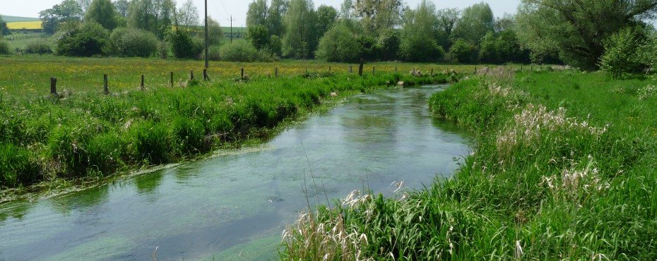 Site Natura 2000 "L’Yères"