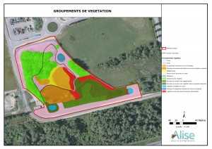 Exemple de carte des groupements de végétation