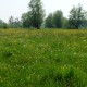 Prairie humide