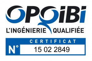 Logo OPQIBI