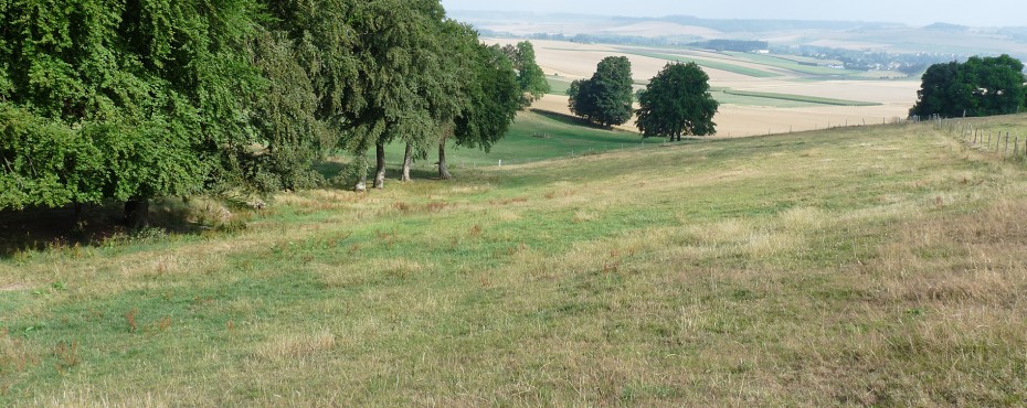 Cartographie des axes de ruissellement urbains et agricoles à Fréauville