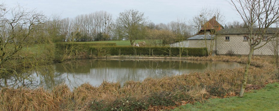 Mare de gestion des eaux pluviales urbaines à Fresnoy-Folny