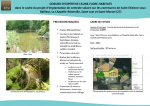 Projet d'implantation de centrale solaire