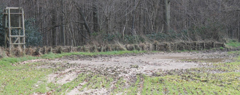 Dépôts des limons en amont de la fascine